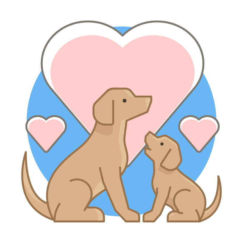 man-labrador-retrever-trophies-03