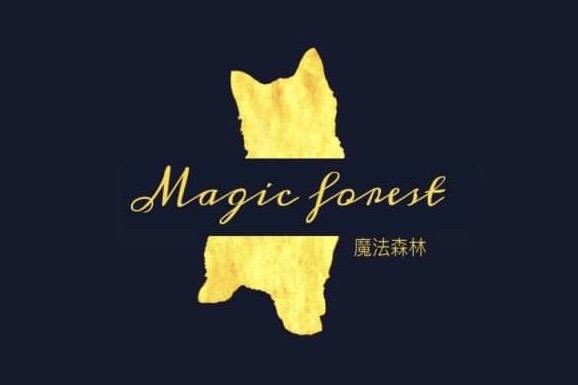 嚴選合法寵物店-魔法森林