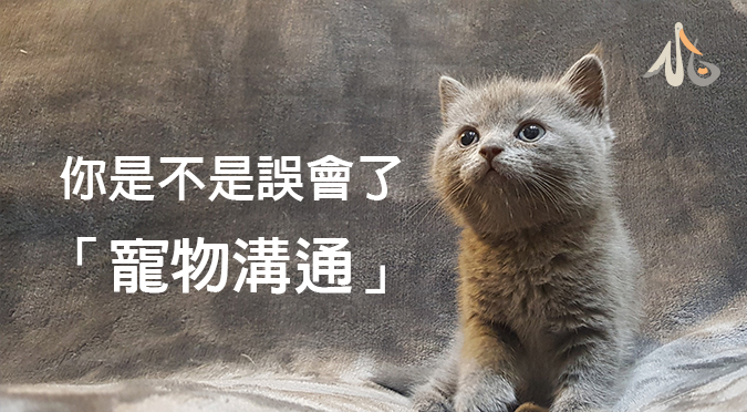【小白知識】你是不是誤會了「寵物溝通」