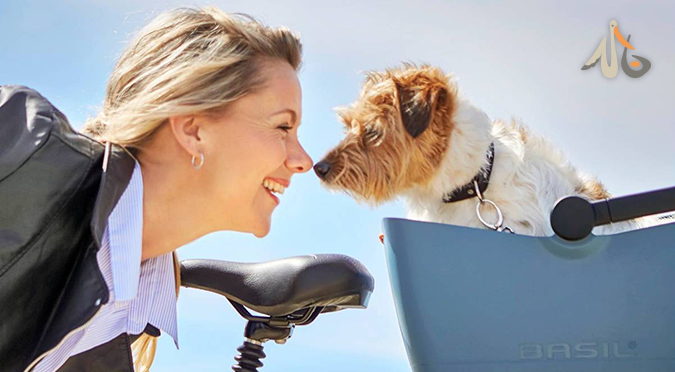 【小白推薦】荷蘭自行車寵物籃