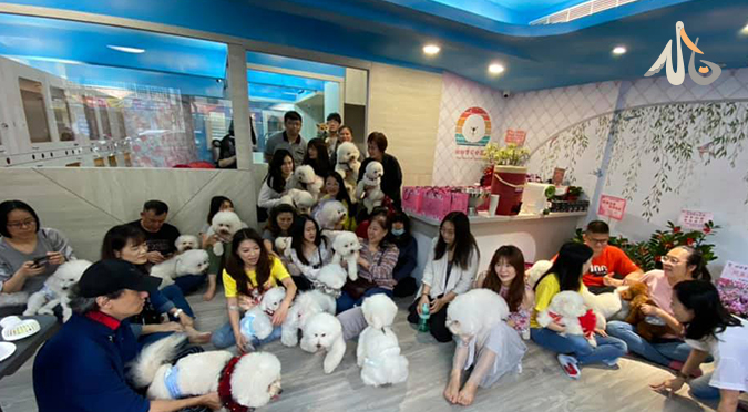 熊友歡聚板橋 甜甜寶貝樂園 寵物旅館開幕