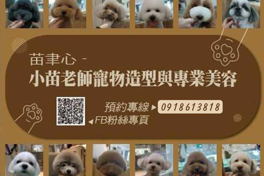 小苗老師寵物造型與專業美容