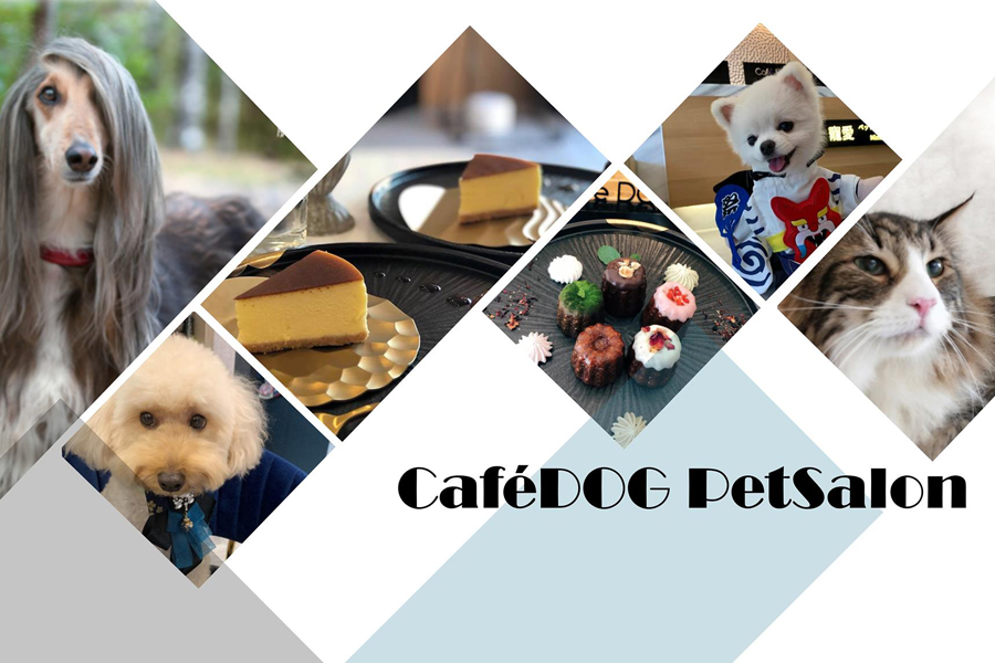CafeDOG寵物沙龍
