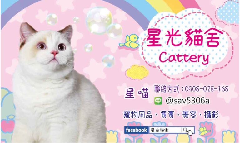 嚴選合法寵物店-星光貓舍