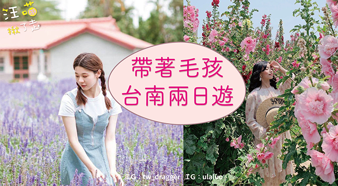 【汪喵揪了走】帶著毛孩漫步台南兩日遊