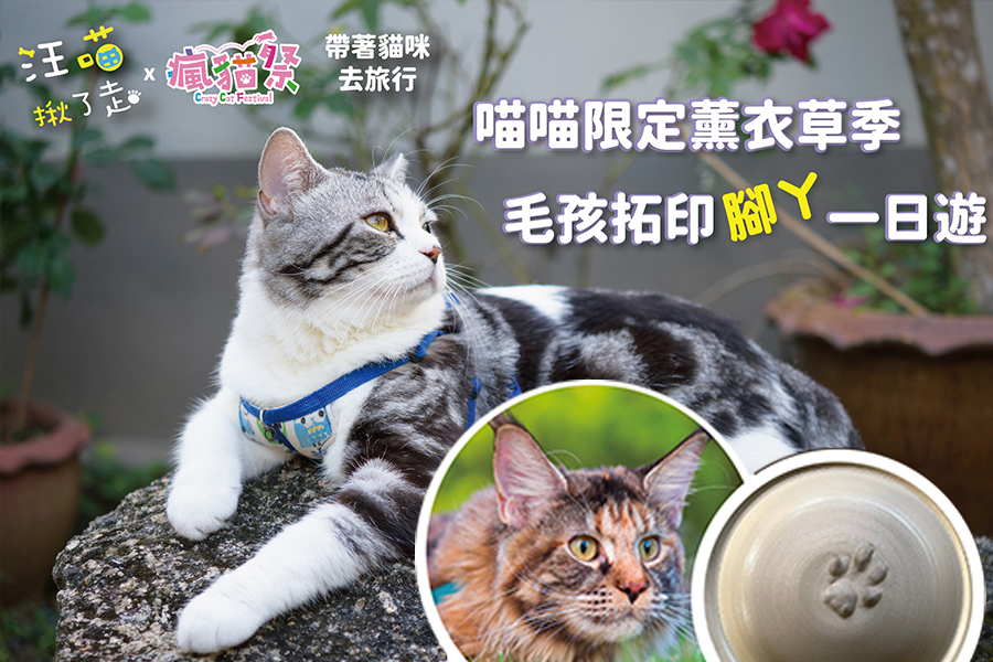 【汪喵揪了走】feat.瘋貓季X帶著貓咪去旅行