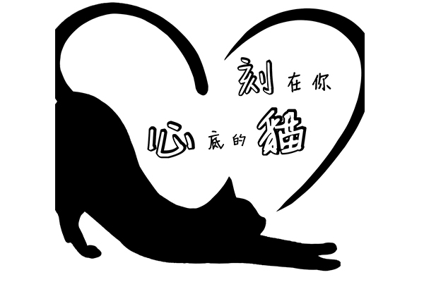 嚴選合法寵物店-刻在你心底的貓