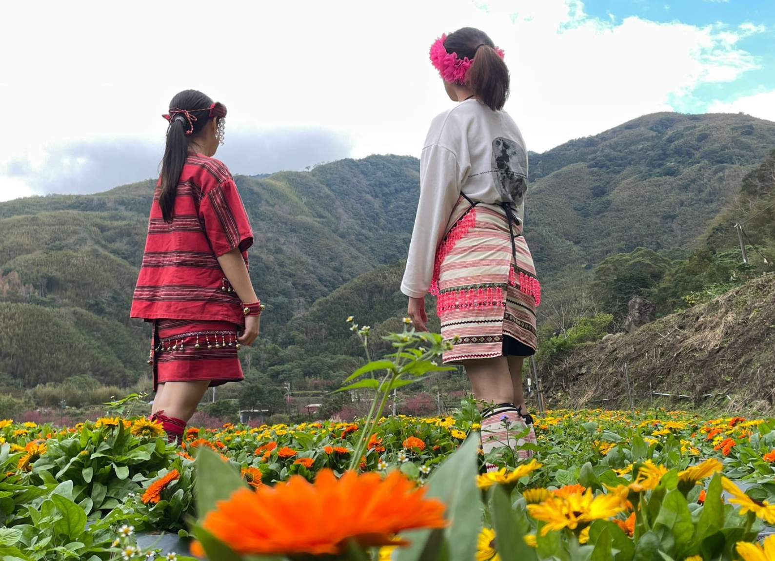 『汪喵揪了走』新竹尖石金盞花季一日遊