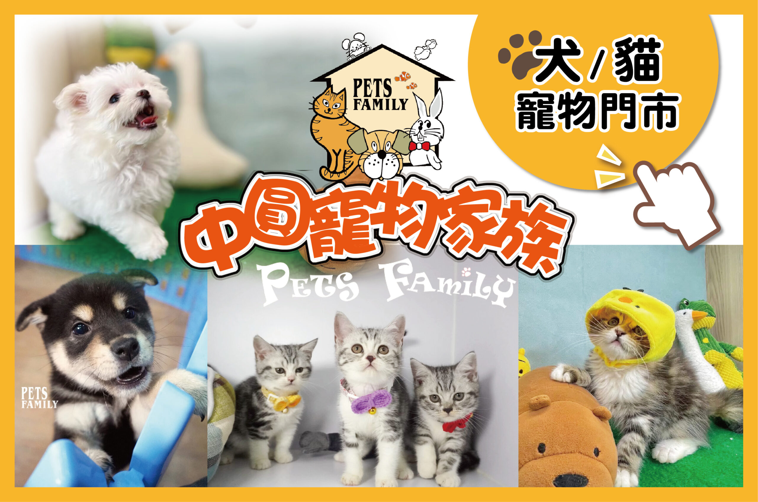 嚴選合法寵物店-中圓寵物家族