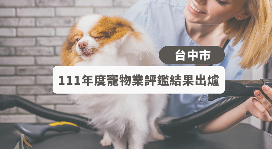 111年度台中市特定寵物業者評鑑結果出爐