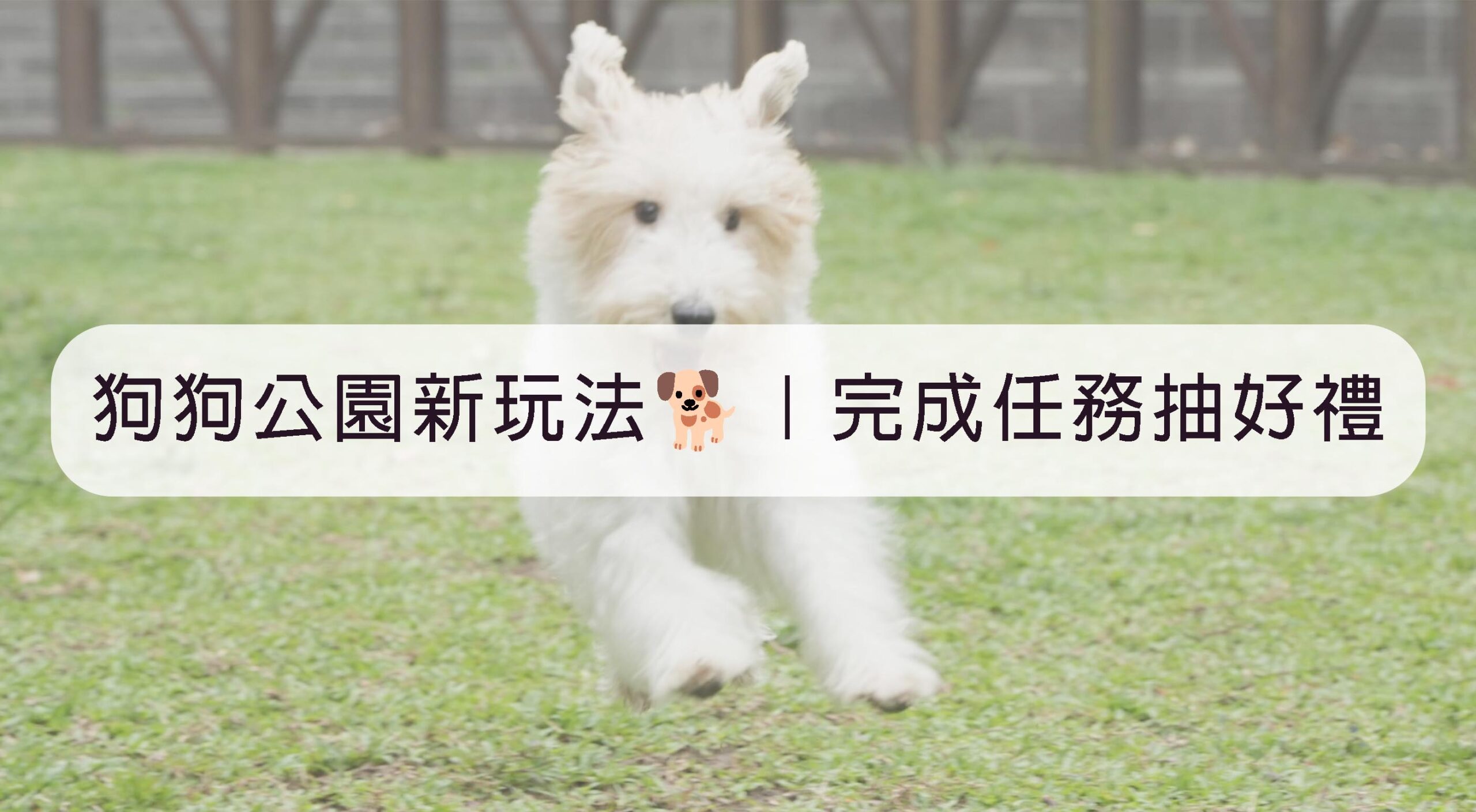狗狗公園新玩法｜完成任務抽好禮