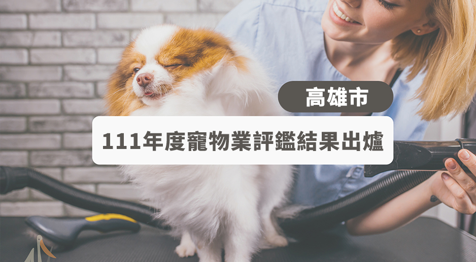 111年度高雄市特定寵物業者評鑑結果出爐