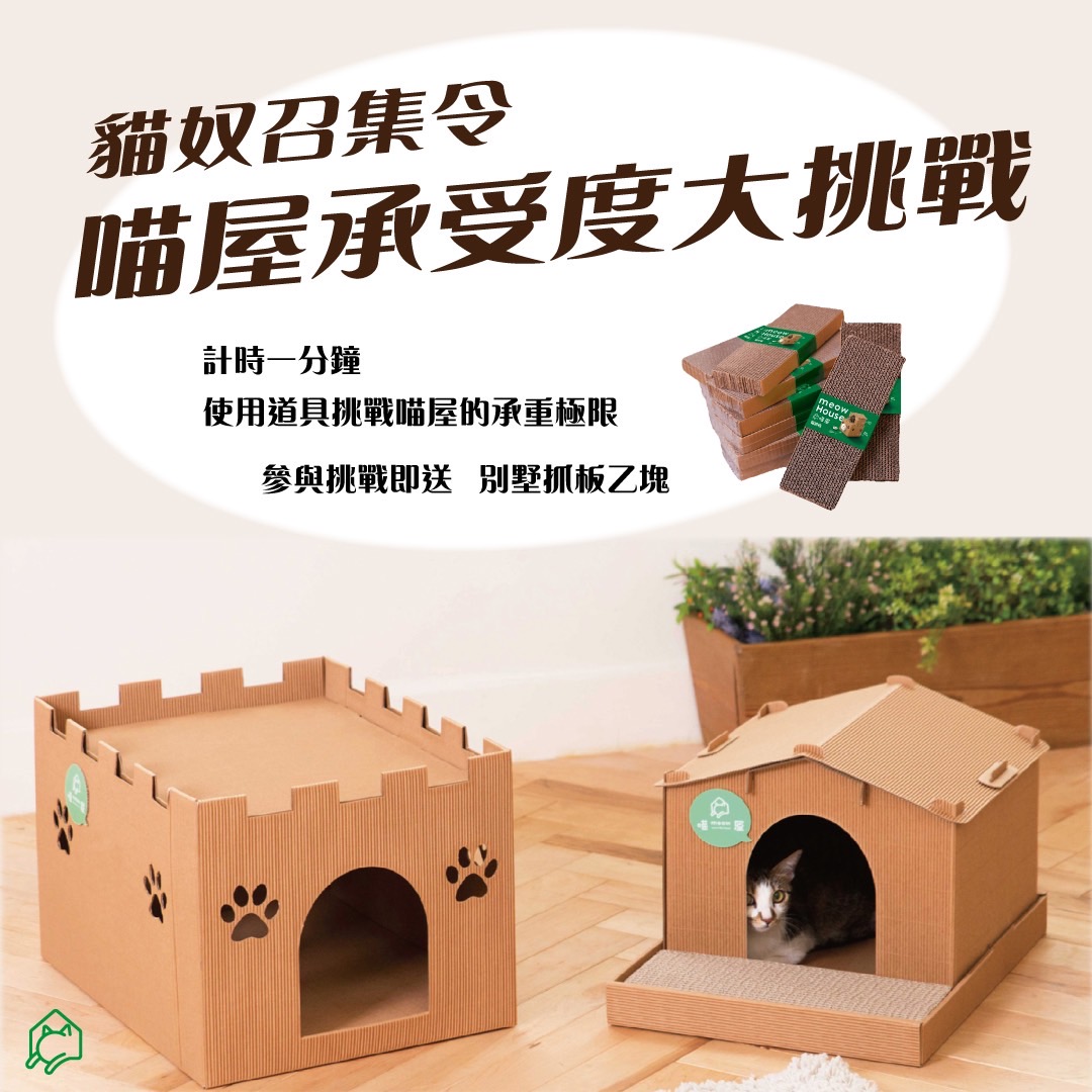 喵奴召集令！喵屋承受度大挑戰