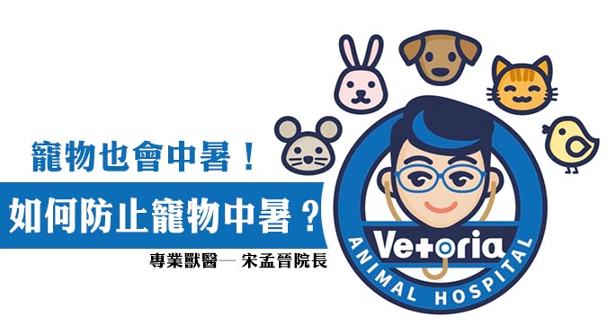 『Paw Dreamer 吃喝玩樂』熱衰竭！寵物也會中暑！炎炎夏日如何防止寵物中暑？