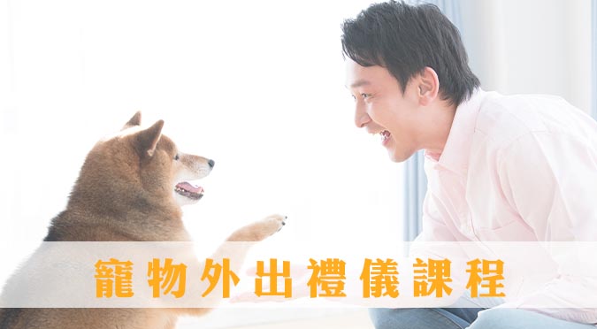 臺北市動保處／寵物外出禮儀課程 下半場開跑囉