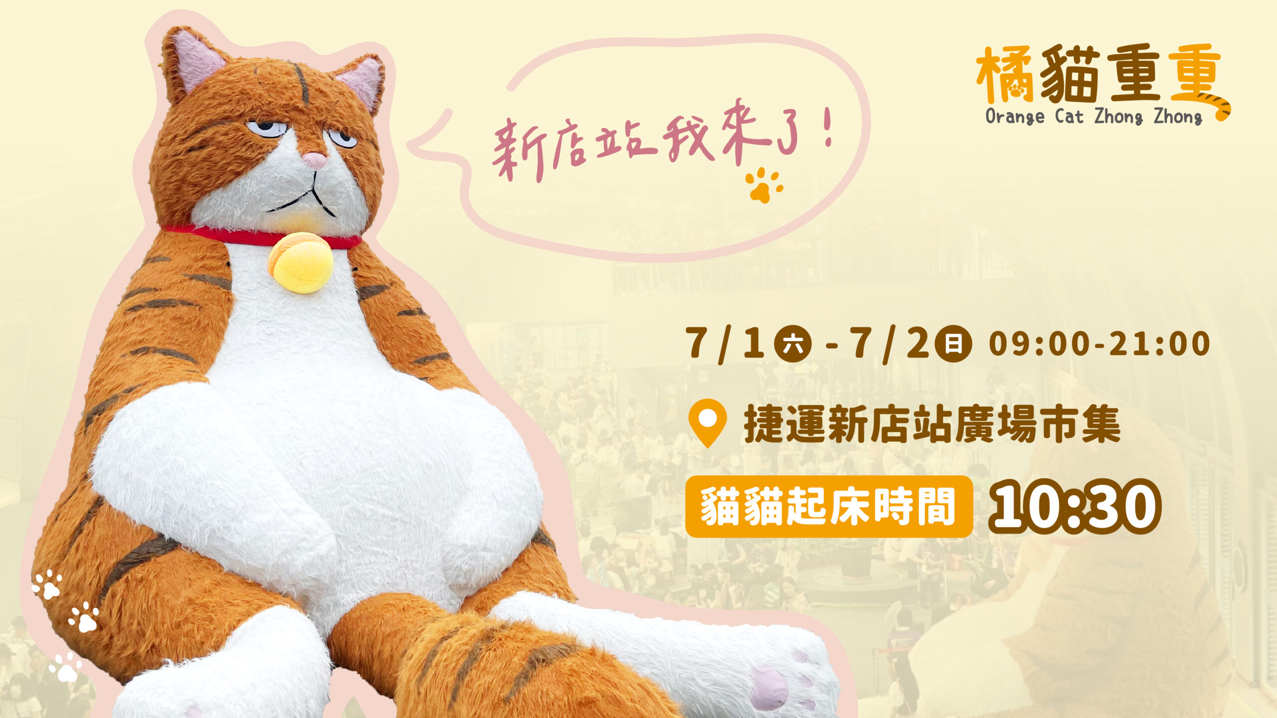 橘貓重重🐱新店捷運站厭世登場！