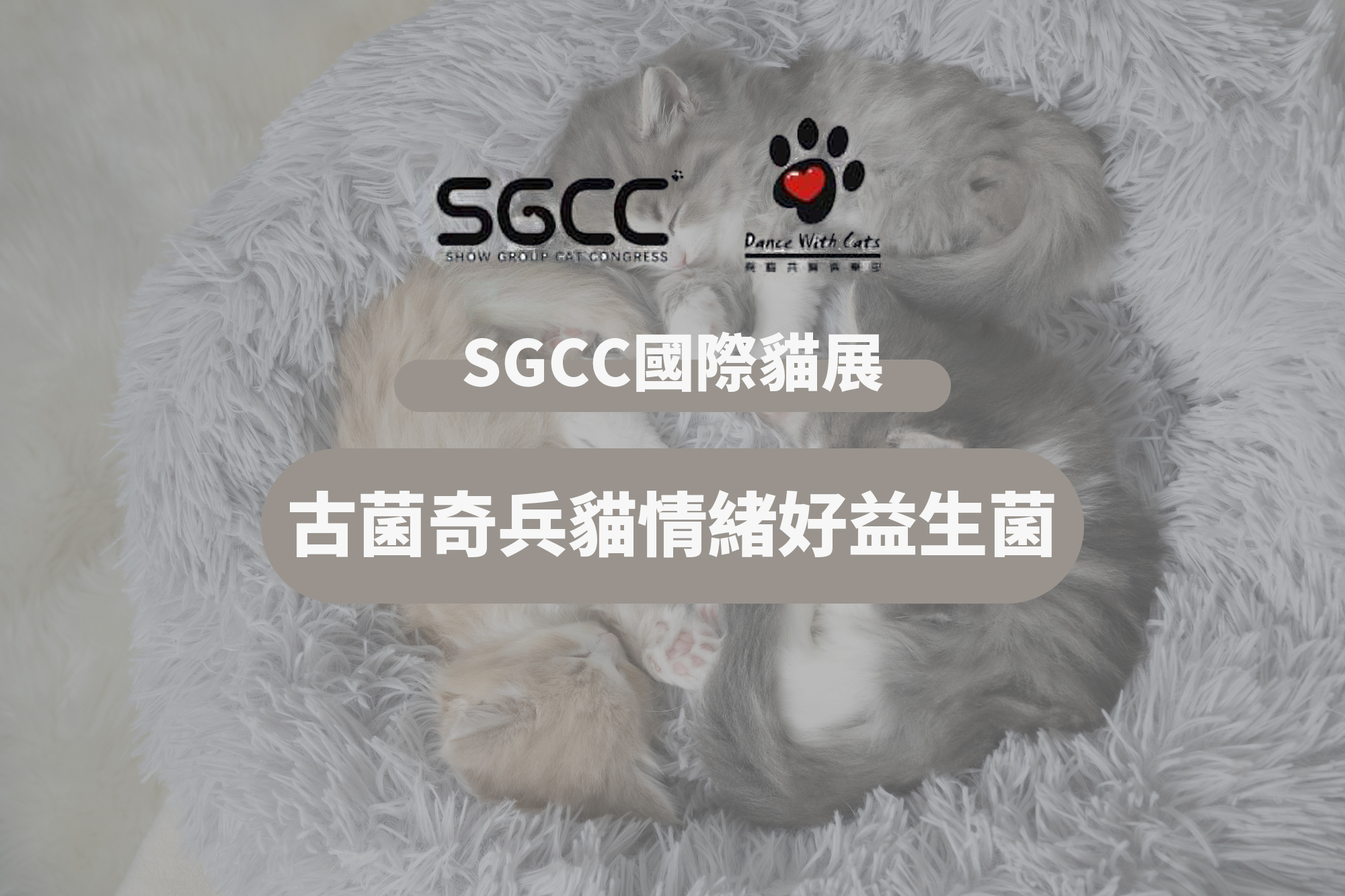 SGCC國際賽貓聯盟 / 古菌奇兵貓情緒好益生菌