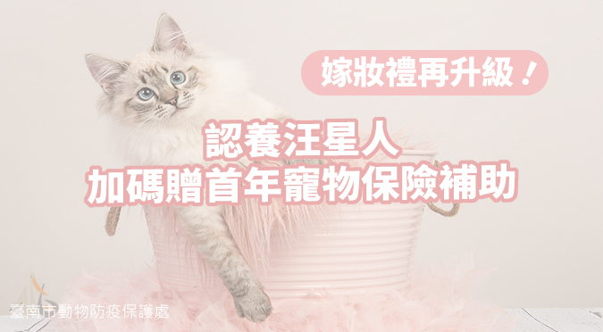 臺南市動物防疫保護處 / 認養汪星人加碼贈首年寵物保險補助
