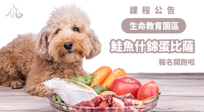 新北市動物保護防疫處 / 生命教育園區課程公告