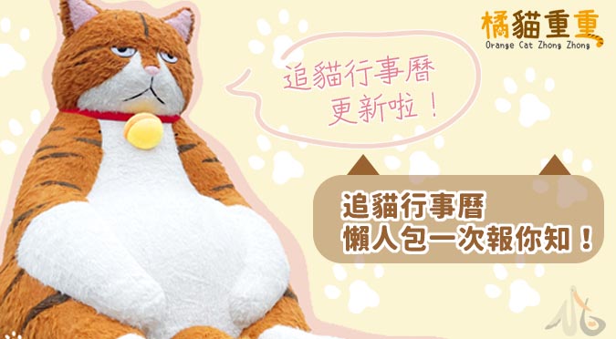 橘貓重重🐱追貓行事曆更新 懶人包報你知！