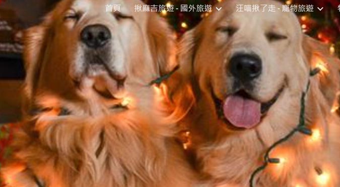 『汪喵揪了走』汪喵聖誕派對一日遊