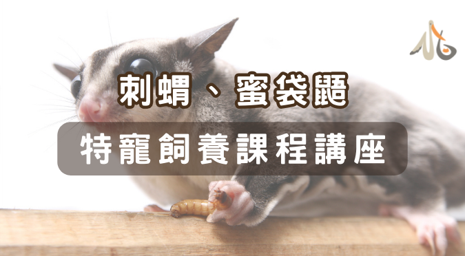 高雄市動物保護處 / 2023特寵飼養講座