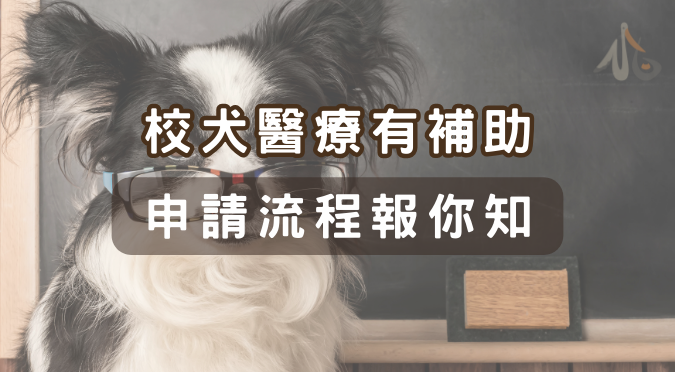 我挺動保 來逗陣 / 校犬醫療補助