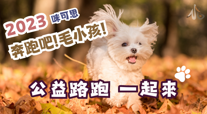 2023奔跑吧 / 毛小孩公益路跑