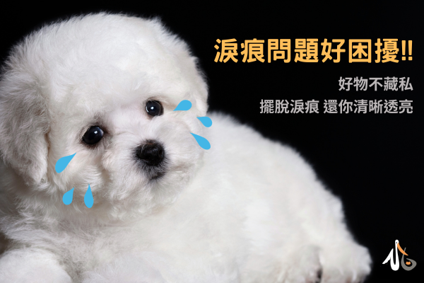 小白好物 / 淚痕問題好困擾！