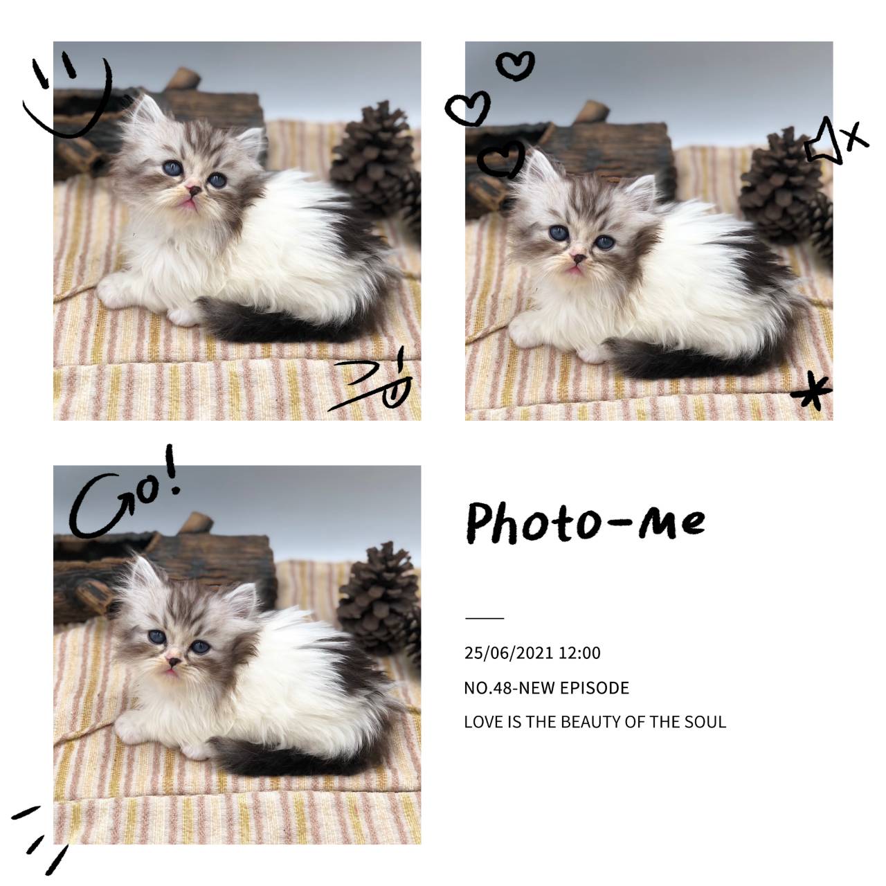 刻在你心底的貓／小步舞曲