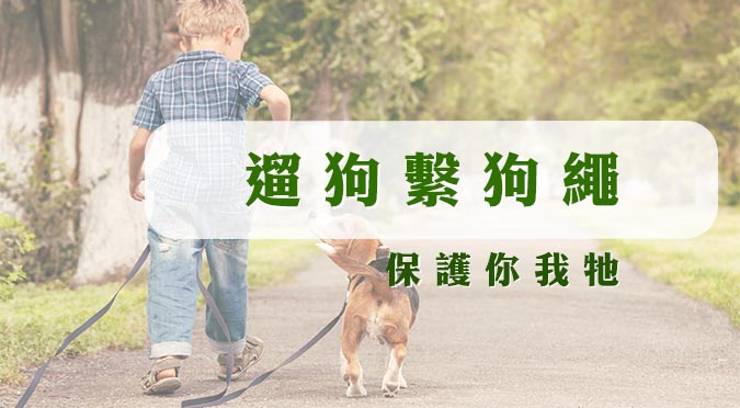 高雄市動物保護處粉絲團 / 遛狗繫牽繩，保護你我牠