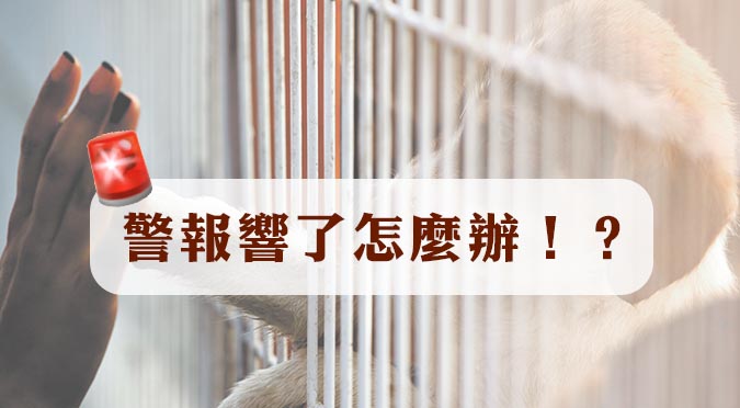 高雄市動物保護處粉絲團/ 警報響了怎麼辦？