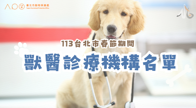 臺北市動保處／113年臺北市春節期間營業獸醫診療機構名單