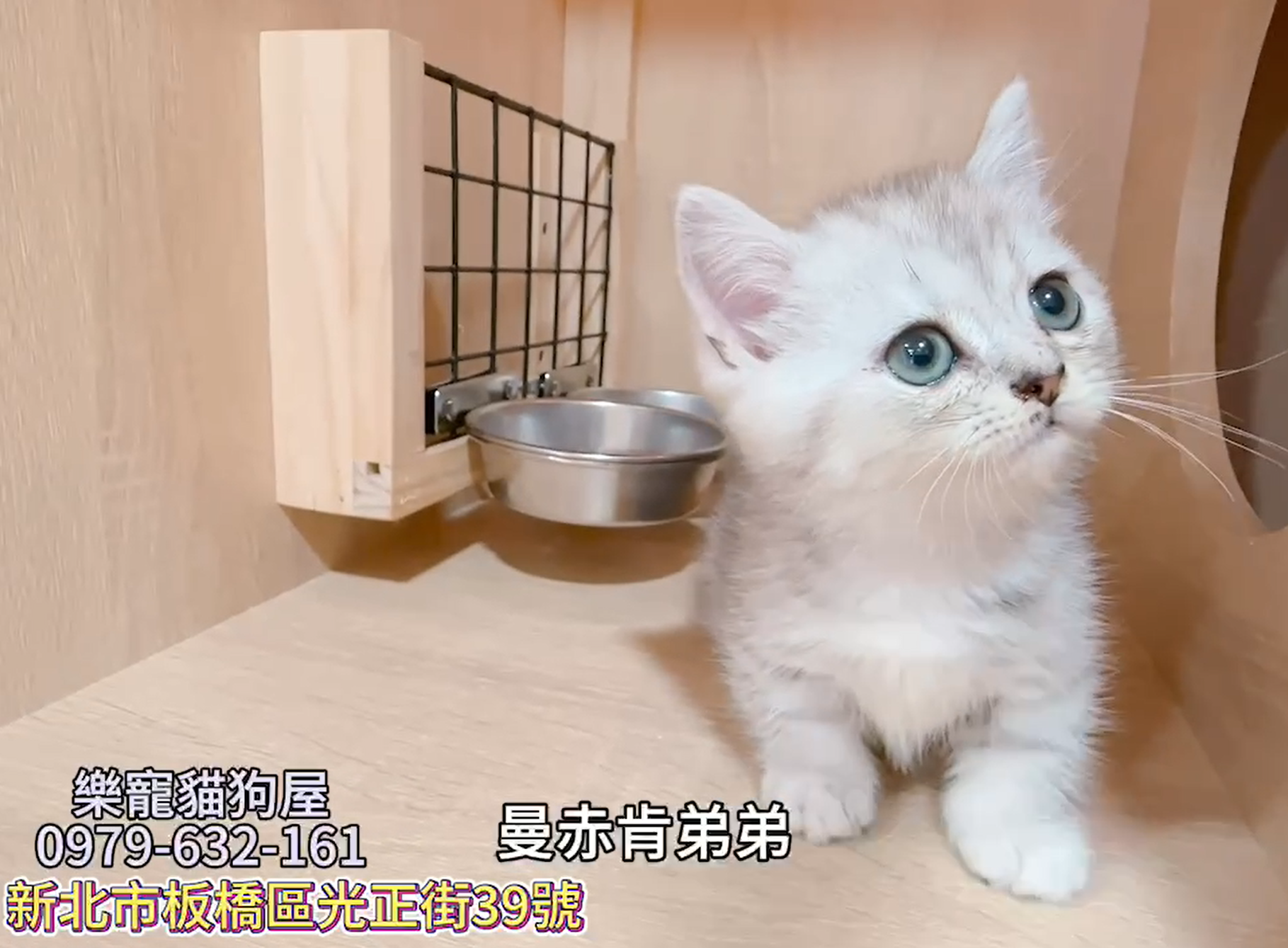 樂寵貓狗屋／曼赤肯