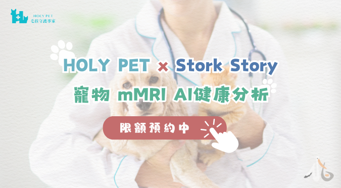 HOLY PET / 寵物mMRI AI健康分析
