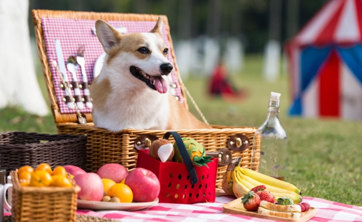 『汪喵揪了走』馬武督探索森林一日遊