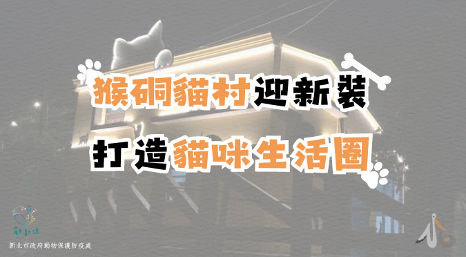 新北市動物保護防疫處 / 猴硐貓村迎新裝 打造貓咪生活圈