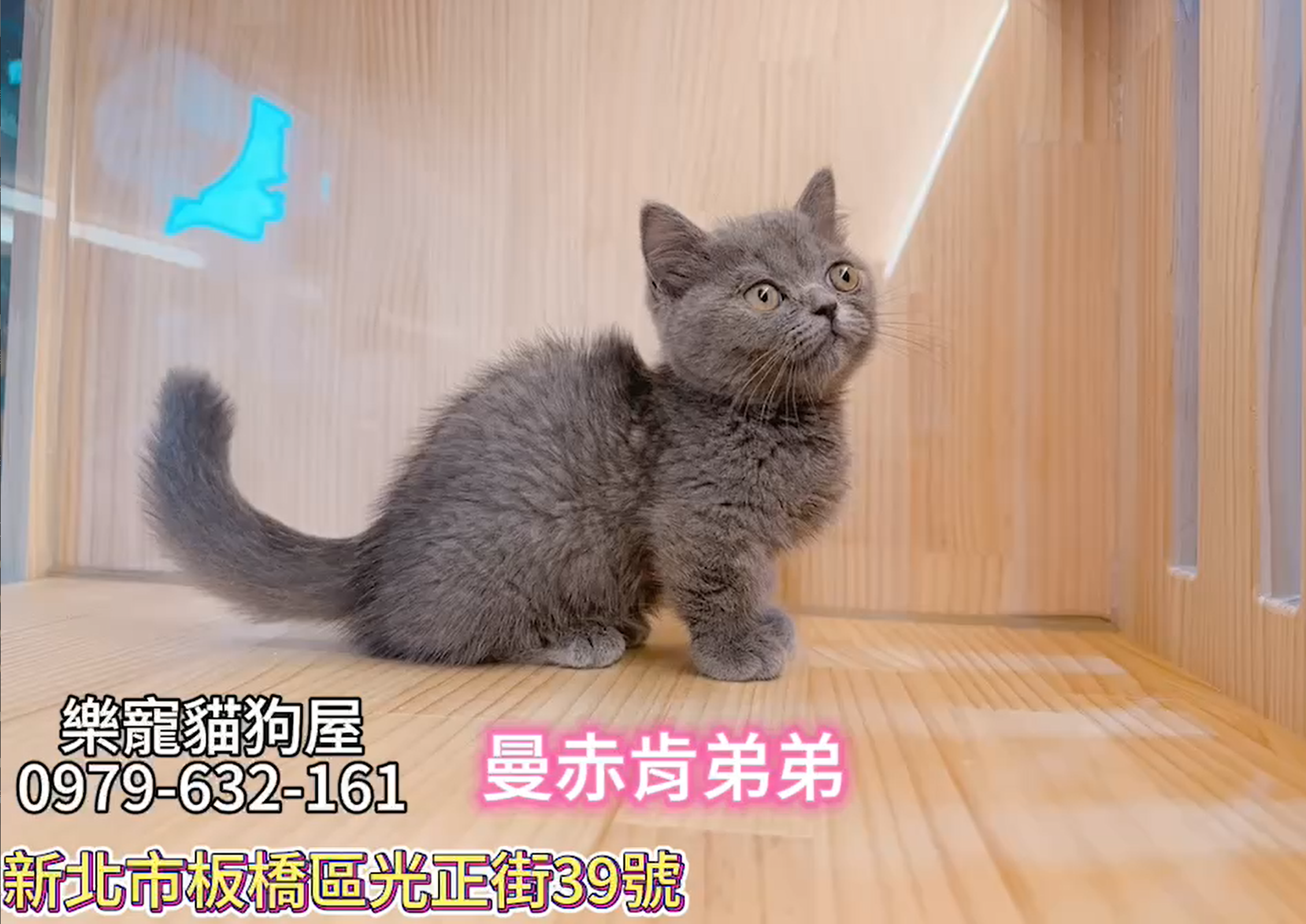 樂寵貓狗屋／曼赤肯