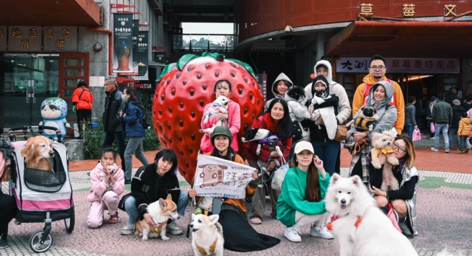 『汪喵揪了走』苗栗草莓日一日遊