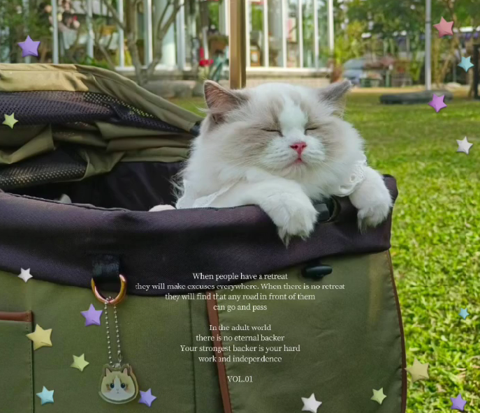 蘋果樹下的布偶貓／布偶貓