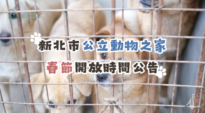 新北市動物保護防疫處 / Lucky ━ 幸運毛寶認養會