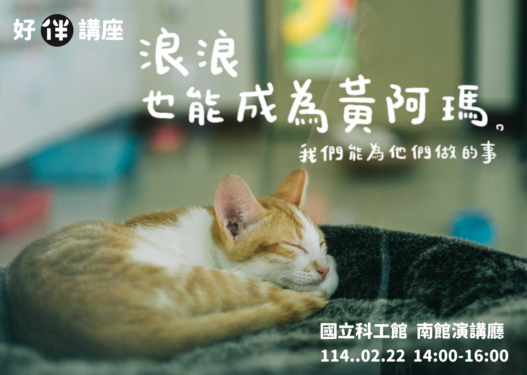 高雄市動物保護處粉絲團 / 好伴講座：浪浪也能成為黃阿瑪，我們能為他們做的事