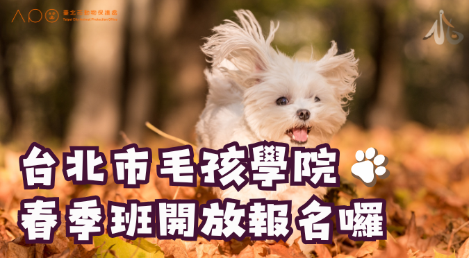 臺北市動保處／臺北市毛孩學院春季班熱烈招生中！