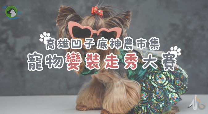 高雄市動物保護處粉絲團 /高雄凹子底神農市集寵物變裝走秀大賽