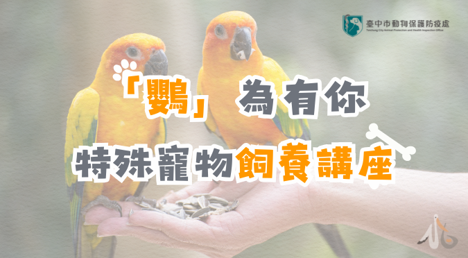 台中市動物保護防疫處 / 鸚為有你－特殊寵物飼養講座