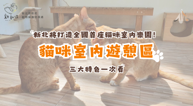 新北市動物保護防疫處 / 新北將打造全國首座貓咪室內樂園！🐱🏡