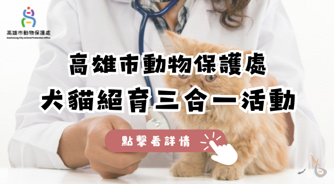 高雄市動物保護處／114年7月13日犬貓絕育三合一活動
