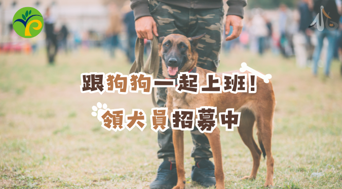 動植物防疫檢疫署／徵才📢 跟狗狗一起上班！領犬員招募中