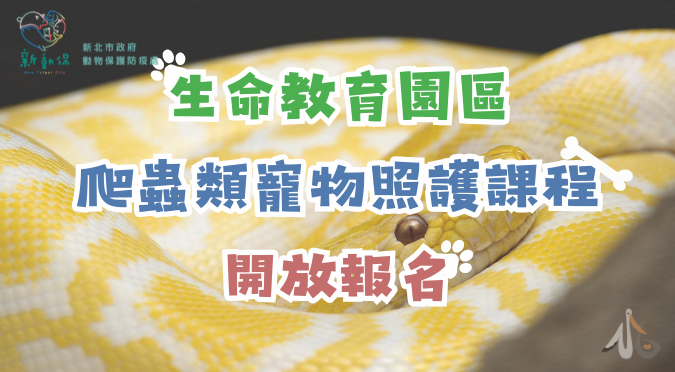 新北市動物保護防疫處 / 生命教育園區課程-爬蟲類寵物照護課程