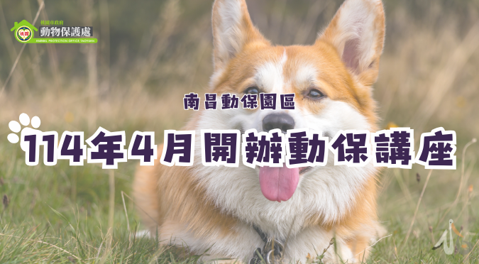 桃園市政府動物保護處/ 114年4月份動保教育講座資訊